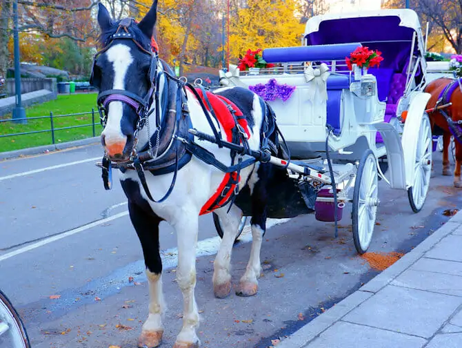 Tour en calèche dans Central Park