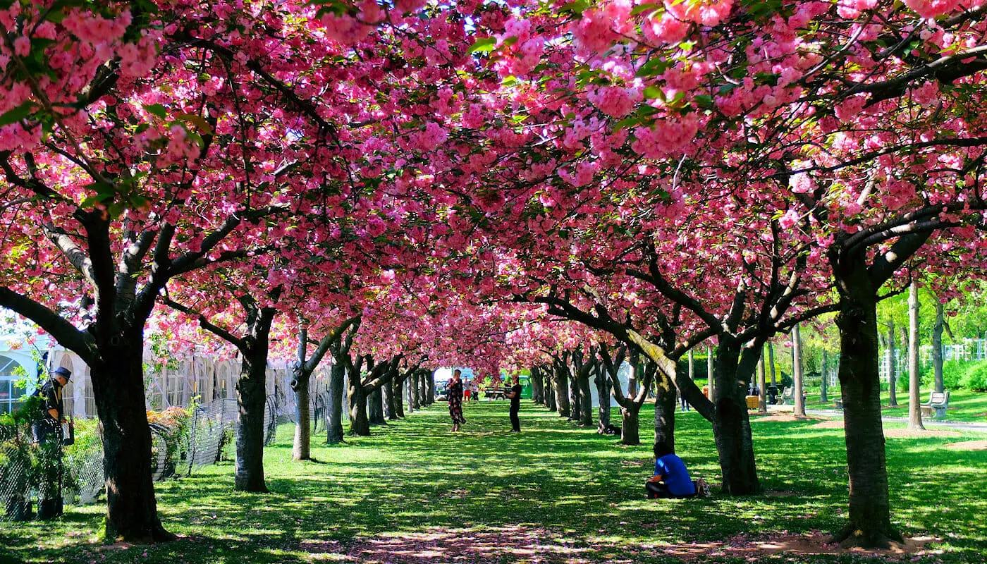 La météo à New York - Printemps