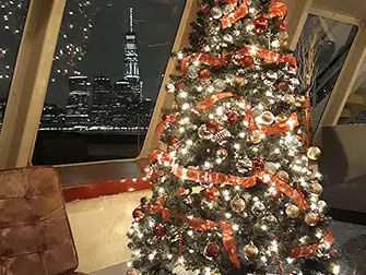 Dîner-Croisière du Réveillon de Noël à New York - Sapin de Noël