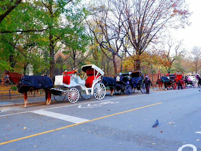 Tour à cheval en calèche dans Central Park - Calèche à Central Park