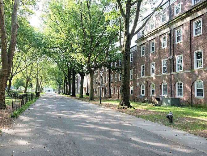 Que faire sur Governors Island - Immeubles