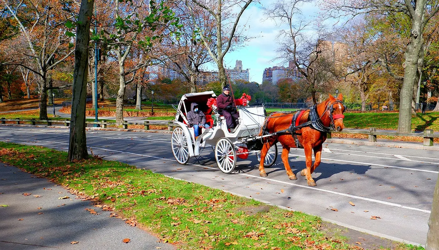 Tour à cheval en calèche dans Central Park - Balade en calèche