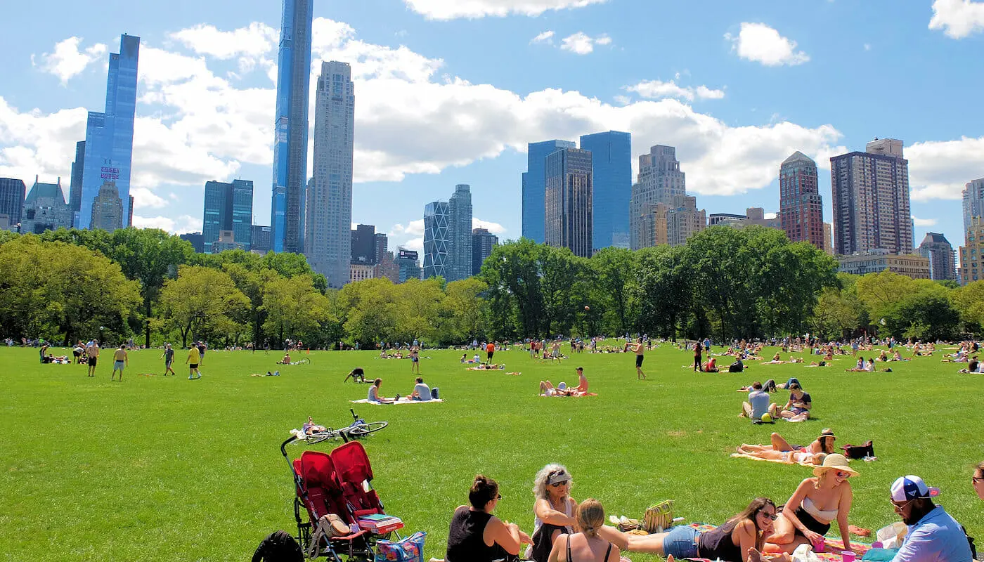 Central Park à New York - Sheep Meadow