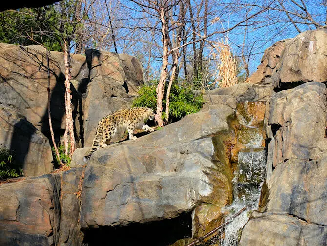 Central Park à New York - Zoo