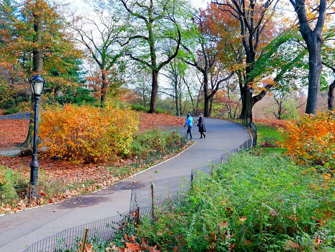 Parcs à New York