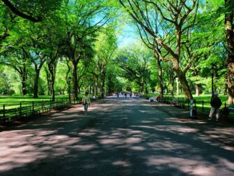 Labor Day à New York - Promenade à Central Park