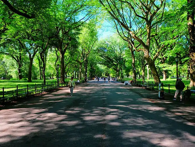 Labor Day à New York - Promenade à Central Park