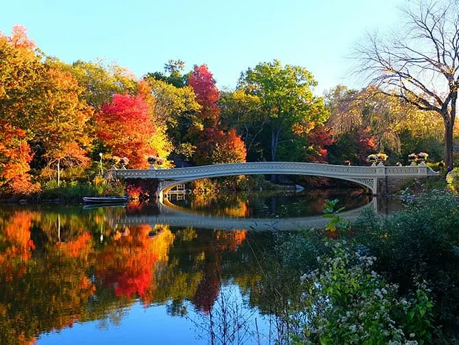 Visite Guidée des Lieux de Tournage à Central Park