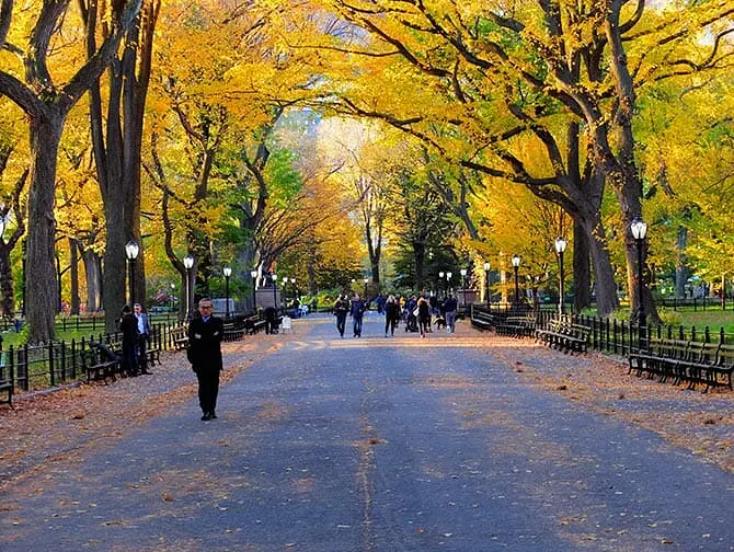 Visite guidée à pied des lieux de tournage dans Central Park - The Mall