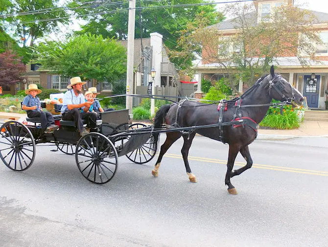 Excursion de New York à Philadelphie et Amish Country - rendez visite aux Amish