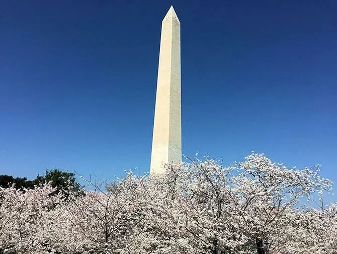Excursion de New York à Washington en Bus - Monument