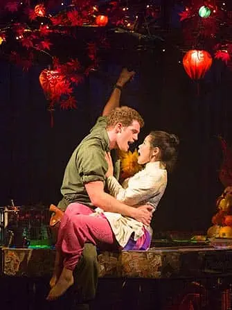 Billets pour Miss Saigon à Broadway - la nuit