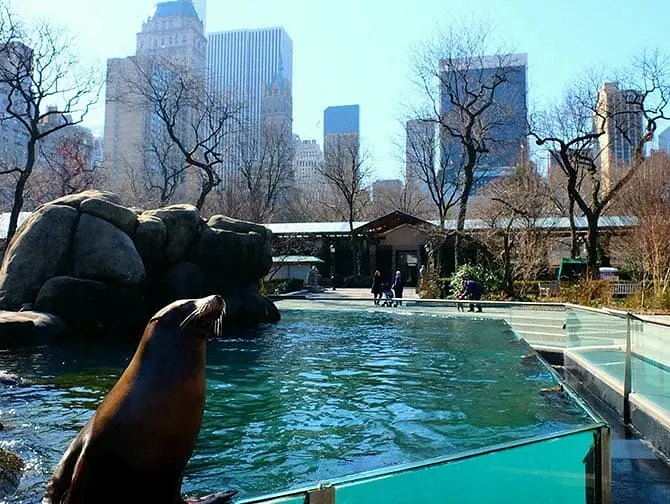 Billets pour le Central Park Zoo