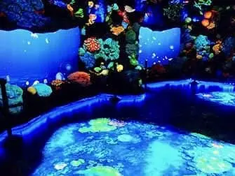 National Geographic Encounter Ocean Odyssey - Les profondeurs de l'océan