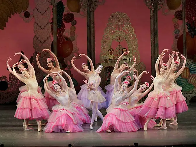 Billets pour The Nutcracker a New York - Fleurs