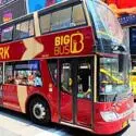Bus Touristique