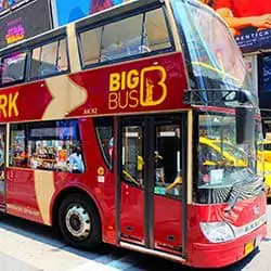 Bus Touristique