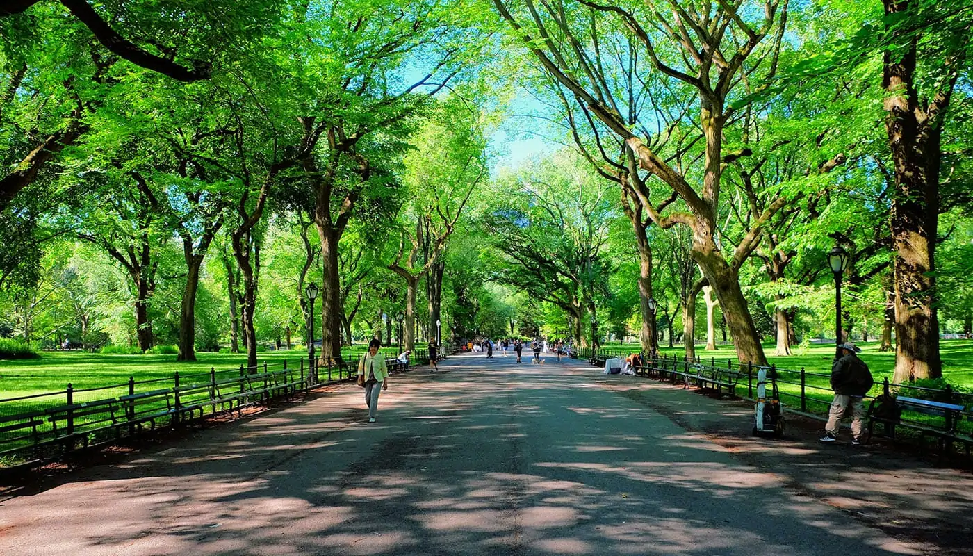 Fête des Mères à New York - Central Park