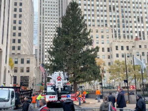Le Blog d Eric Sapin de Noel du Rockefeller
