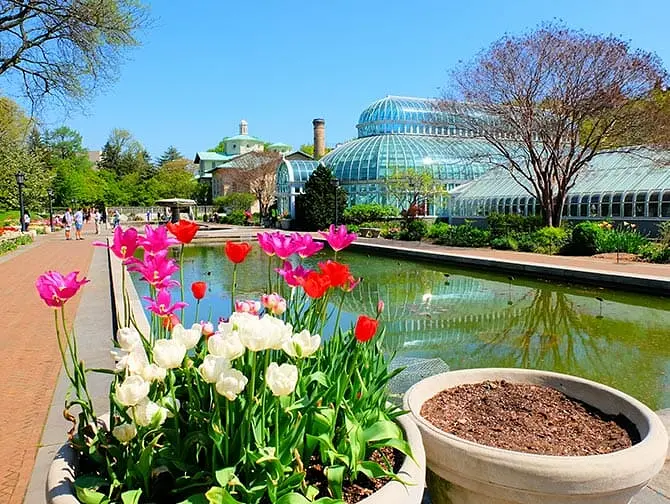 Botanical Gardens à New York - Brooklyn Botanic Garden