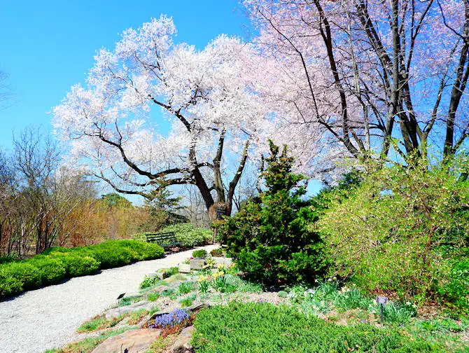 Botanical Gardens &agrave; New York - New York Botanical Garden dans le Bronx