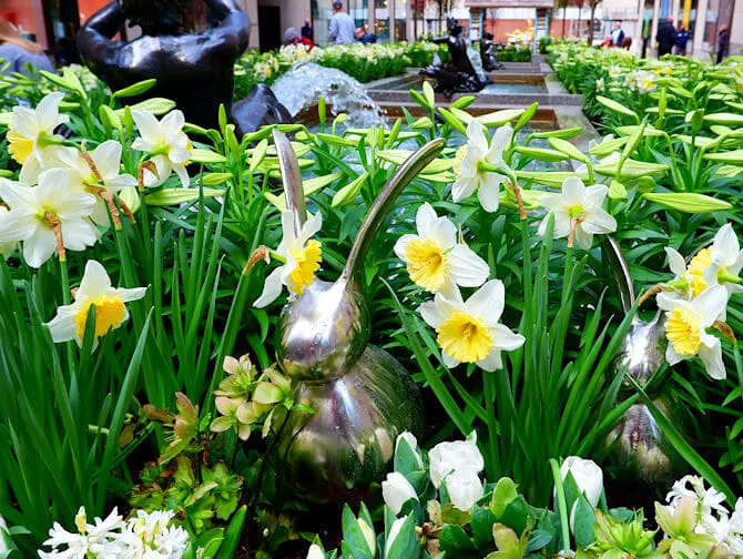Paques à New York - Fleurs