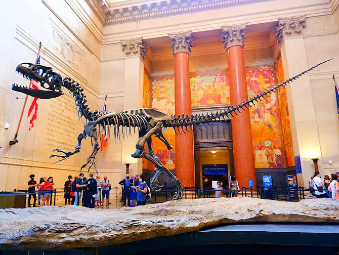 Go City All Inclusive New York Pass - Musée