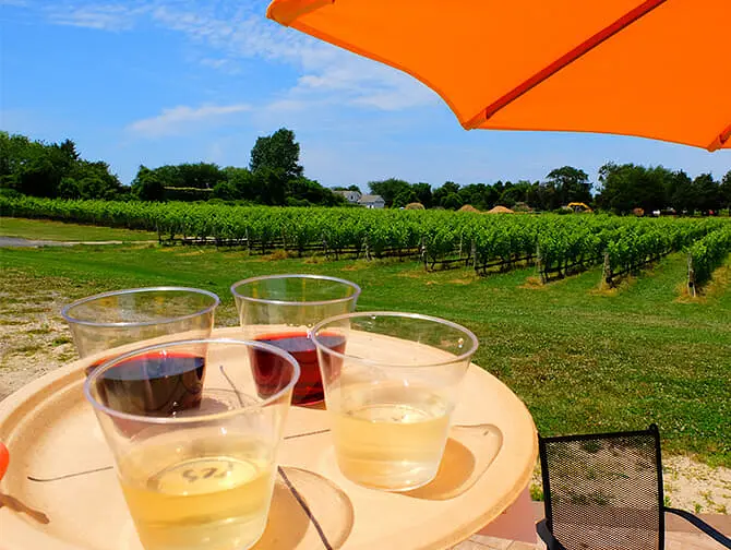 Excursion d’une journée visite des vignobles depuis New York - Dégustation de vin