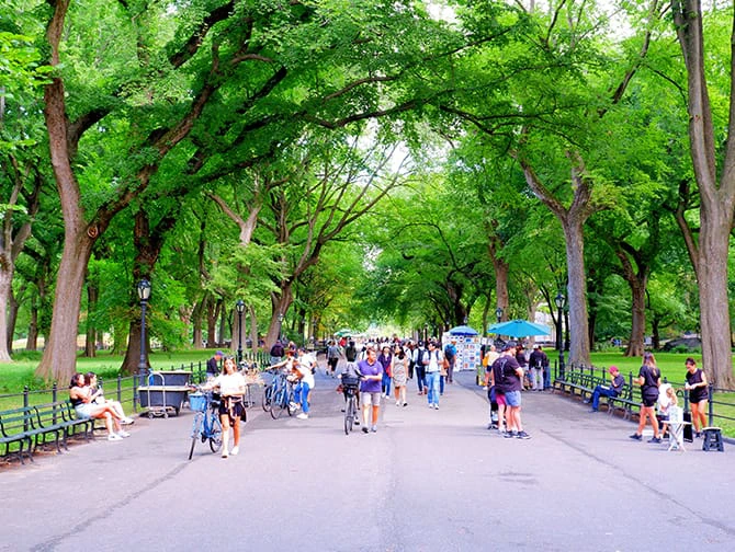 Itin&eacute;raires pi&eacute;tons &agrave; New York - Central Park