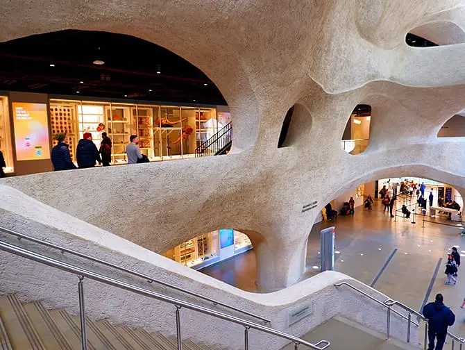 Musée d'Histoire Naturelle à New York - Extension