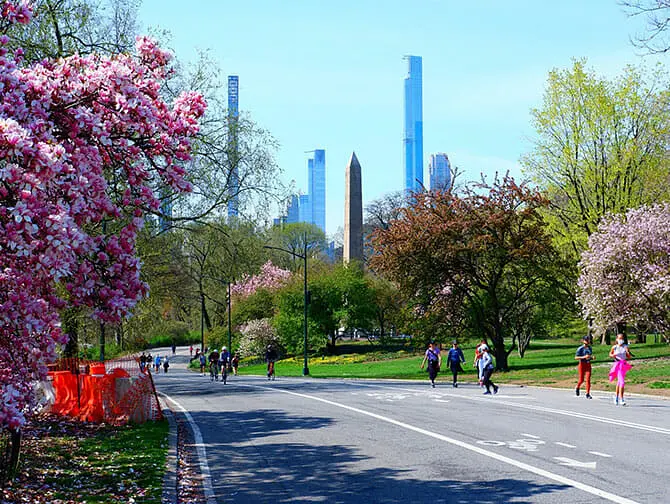 Pass pour New York - Vélo