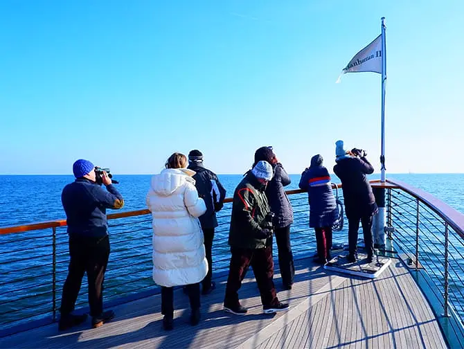 Croisière d’observation des phoques et des oiseaux de New York