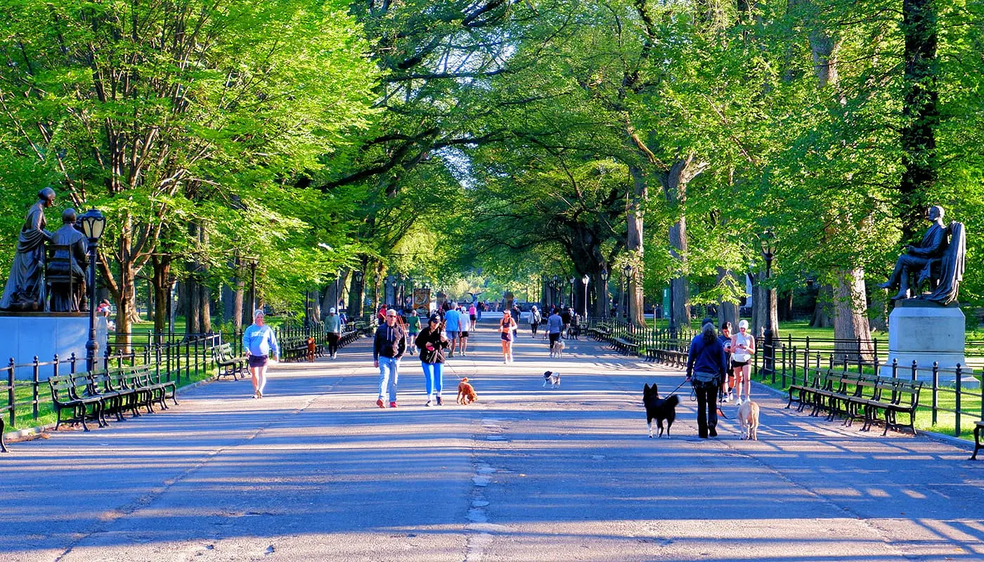 Les New Yorkais - Personnes vivant à New York