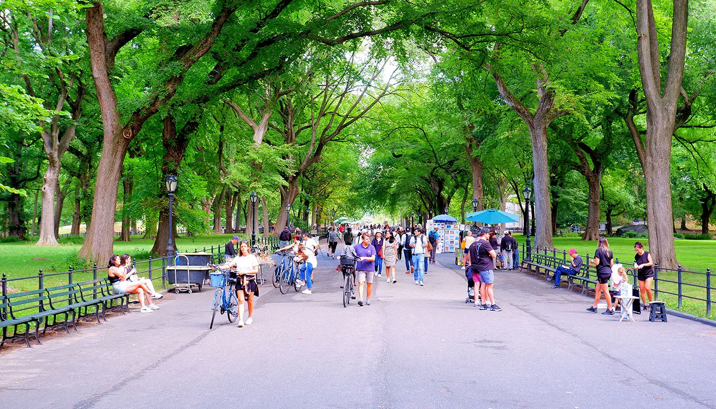 Visiter New York en 4 jours - Découverte de Central Park à vélo ou à pied