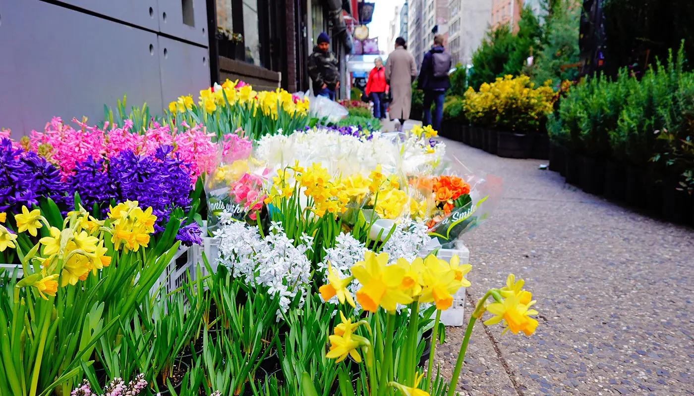 Hôtels à Midtown Manhattan - Cambria Hotel New York Chelsea