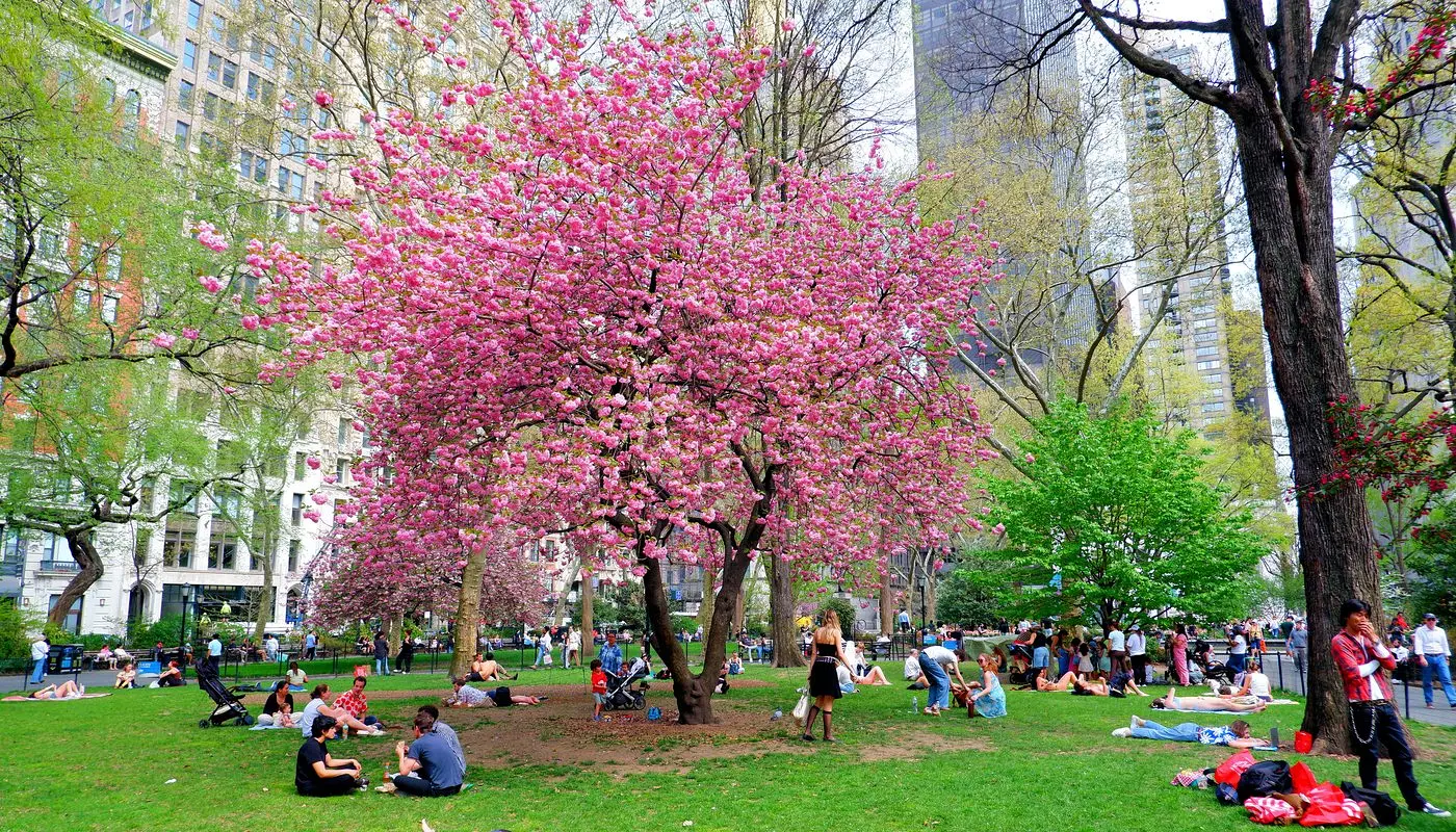 Madison Square Park à New York - Lieu où les New-Yorkais se détendent