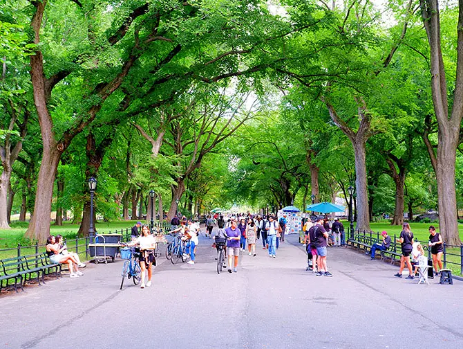 Itinéraire piéton à Central Park à New York